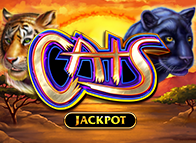 Cats Jackpot